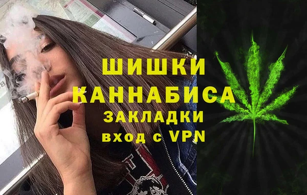 шишки Переславль-Залесский