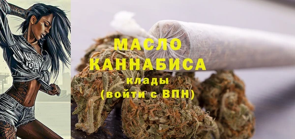 эйфоретик Пересвет