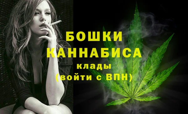 ГАЛЛЮЦИНОГЕННЫЕ ГРИБЫ Пестово