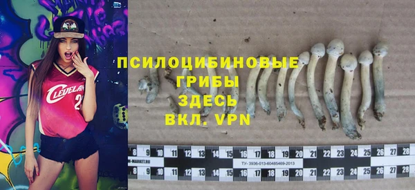 а пвп мука Абдулино